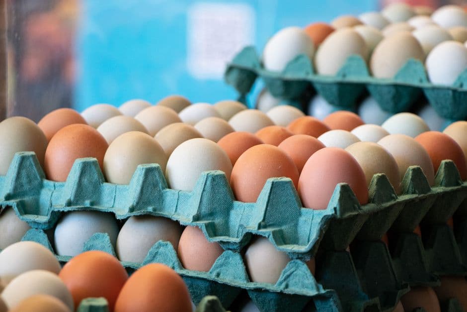 Brune egg (illustrasjonsfoto)