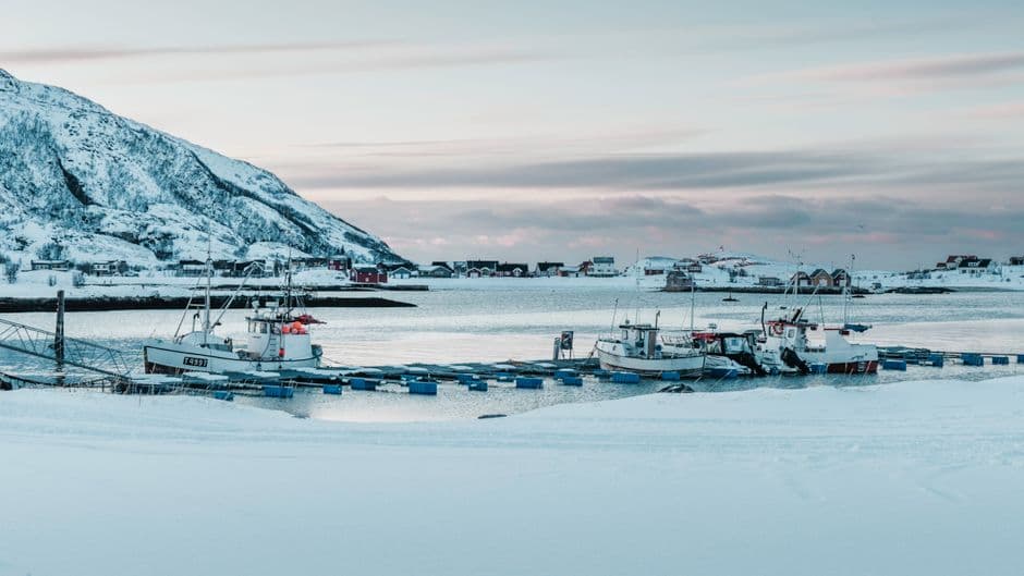 Blåskjell (illustrasjonsfoto)